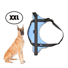 XXL-es kutyahám / 40-60 kg-os kutyák számára - világoskék