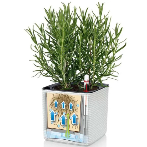 LECHUZA Green Wall Home Kit 3 db fehér virágtartó - utánvéttel vagy ingyenes szállítással
