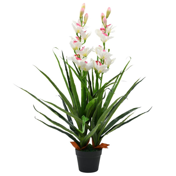 Zöld,  cserepes műcsónakorchidea 100 cm - utánvéttel vagy ingyenes szállítással