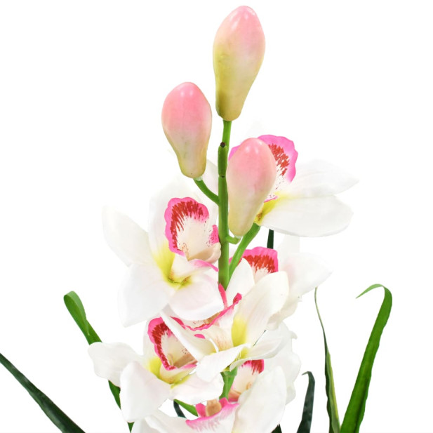 Zöld,  cserepes műcsónakorchidea 100 cm - utánvéttel vagy ingyenes szállítással