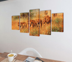 Nyomtatott vászon falikép szett oroszlánok 100 x 50 cm - utánvéttel vagy ingyenes szállítással
