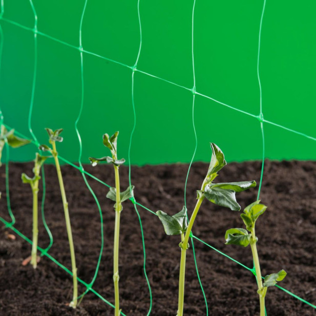 Nature zöld növényfuttató háló 2 x 5 m - utánvéttel vagy ingyenes szállítással