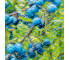 Nature Nano kék madárháló 5 x 4 m - utánvéttel vagy ingyenes szállítással