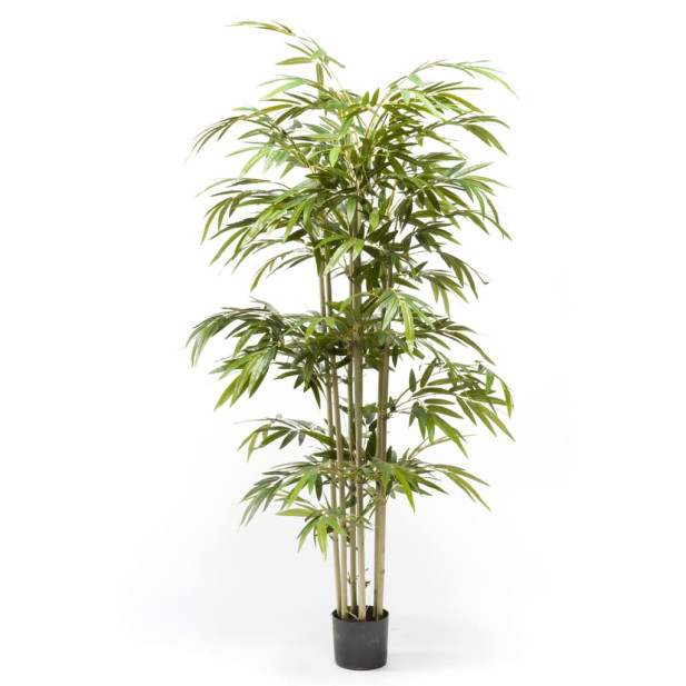 Emerald műbambusz 150 cm - utánvéttel vagy ingyenes szállítással