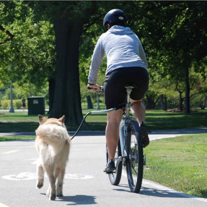 PetEgo Cycleash univerzális kutyapórázos kerékpárrúd 85 cm - utánvéttel vagy ingyenes szállítással