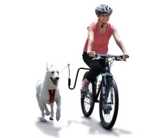 SPRINGER kutya edzőkészlet kerékpárhoz - utánvéttel vagy ingyenes szállítással