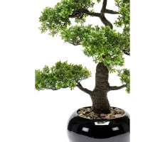 Emerald zöld mini fikusz bonsai műnövény 47 cm - utánvéttel vagy ingyenes szállítással