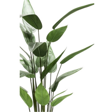 Emerald zöld heliconia műnövény 125 cm 419837 - utánvéttel vagy ingyenes szállítással