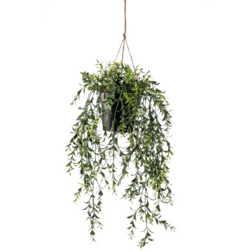 Emerald műpuszpáng függőbokor cserépben 50 cm - utánvéttel vagy ingyenes szállítással