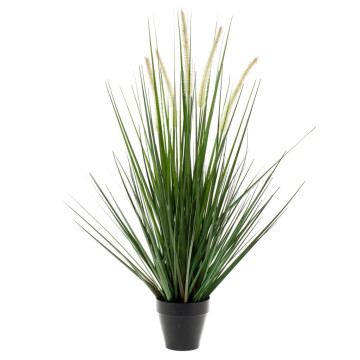Emerald műecsetpázsit cserépben 70 cm - utánvéttel vagy ingyenes szállítással
