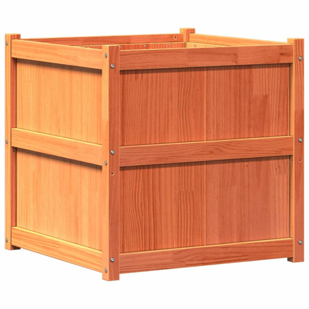 Viaszbarna tömör fenyőfa kerti virágláda 70 x 70 x 70 cm - utánvéttel vagy ingyenes szállítással