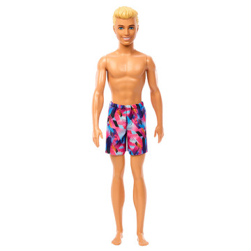 Barbie Beach baba - Ken