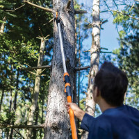 Ágvágó és gallyvágó fűrész, 35 centiméteres vágófejjel, háromgörgős mechanizmussal